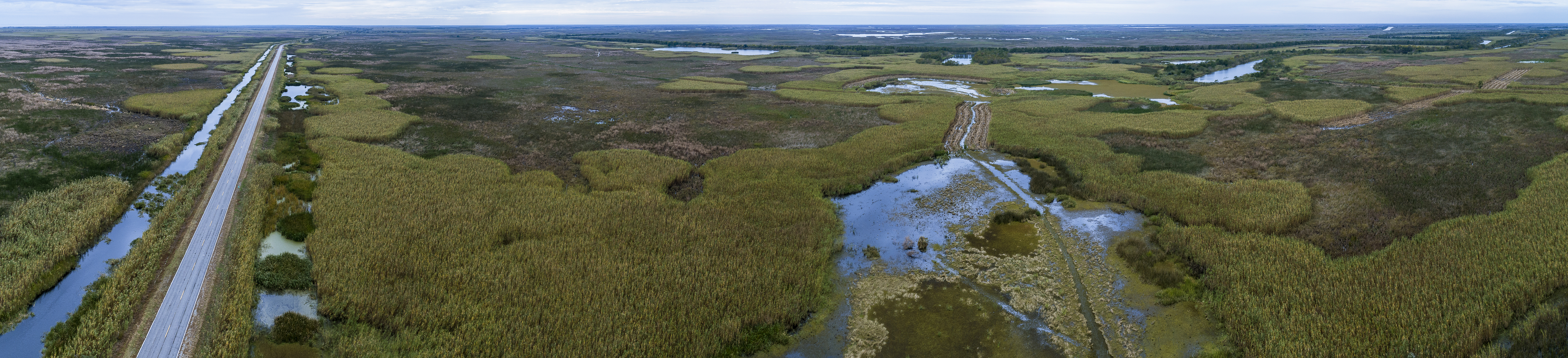 Louisiana UCR Filing
